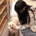 突破黄金十二宫2无敌版